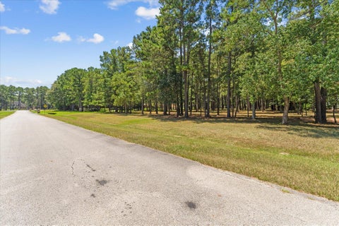 Tiny photo for 28712 Beth Marie, Magnolia, TX 77355 (MLS # 75911088)