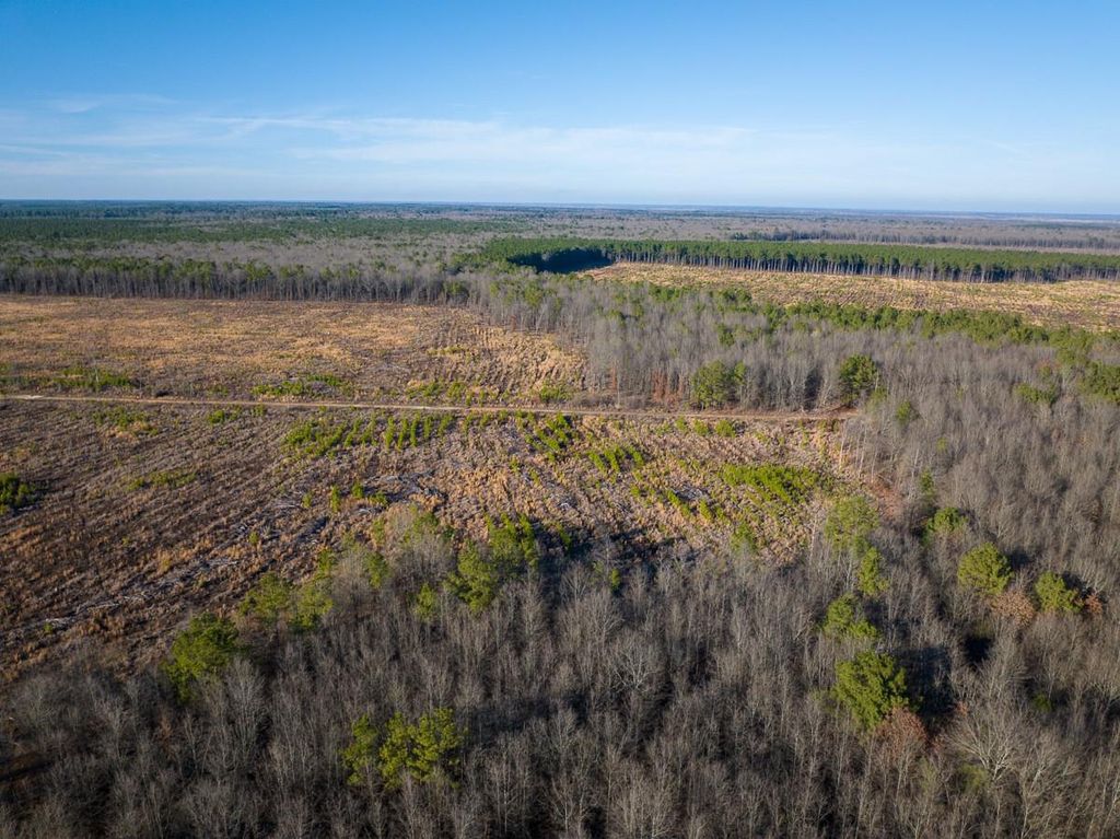 Photo of 0 Fm 1159, Clarksville, TX 75426 (MLS # 34467837)