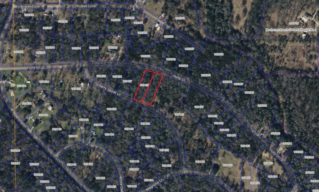 Photo of 0 Cherry Laurel Lane, New Caney, TX 77357 (MLS # 31075610)