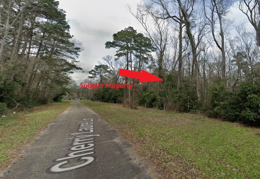 Photo of 0 Cherry Laurel Lane, New Caney, TX 77357 (MLS # 31075610)