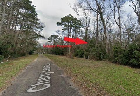 Photo of 0 Cherry Laurel Lane, New Caney, TX 77357 (MLS # 31075610)