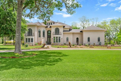 Photo of 3103 Wellspring Lake Drive, Fulshear, TX 77441 (MLS # 60016626)