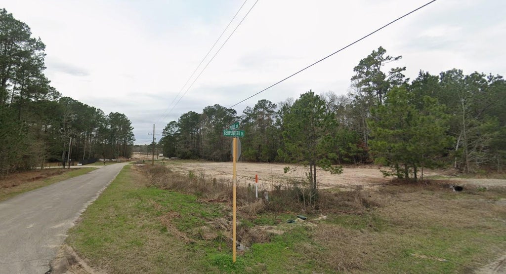 Photo of 19131 Serpenteer Drive, Porter, TX 77365 (MLS # 71827977)