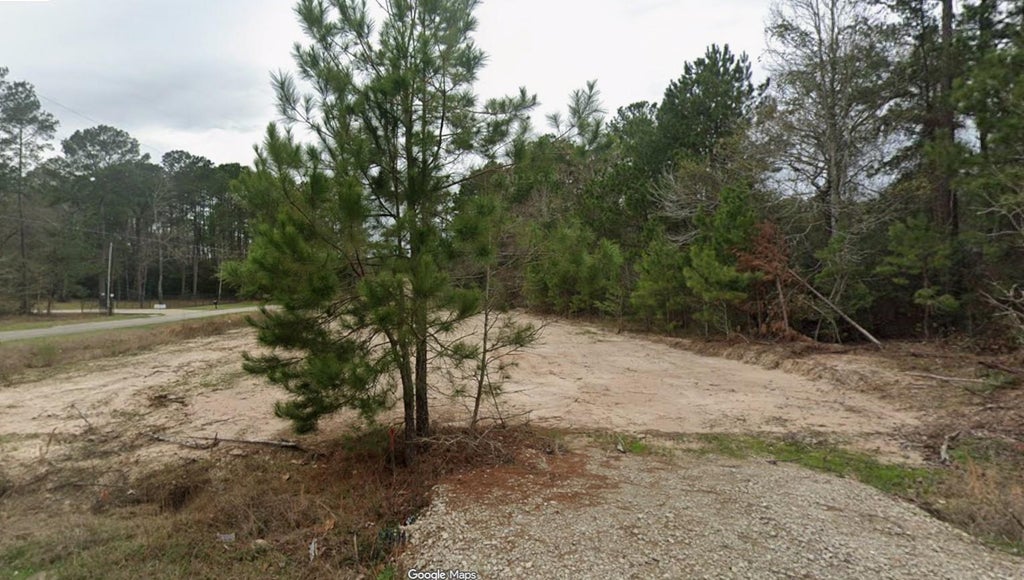 Photo of 19131 Serpenteer Drive, Porter, TX 77365 (MLS # 71827977)