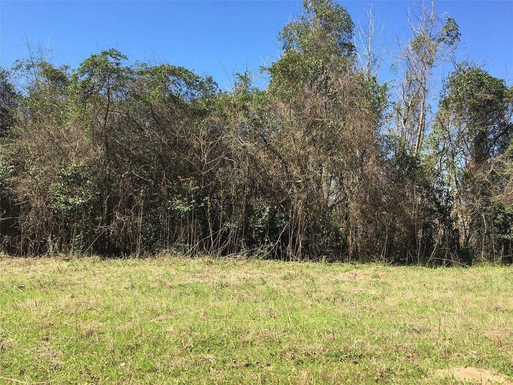 Lot 15 County Road 175