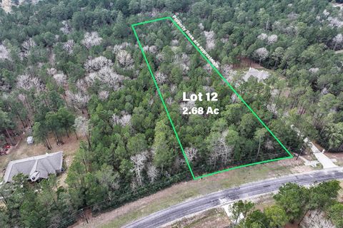 Lot 12 Chisholm Trail Huntsville TX 77340