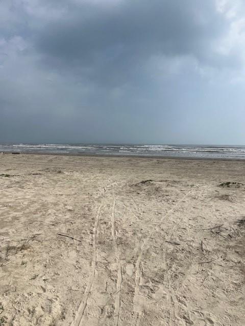 50 Lot 50 Palm Beach