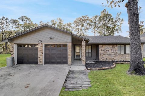 Photo of 426 Candlelight Lane, Livingston, TX 77351 (MLS # 68904371)