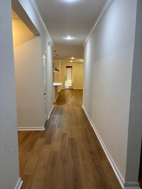 4211 False Cypress Lane