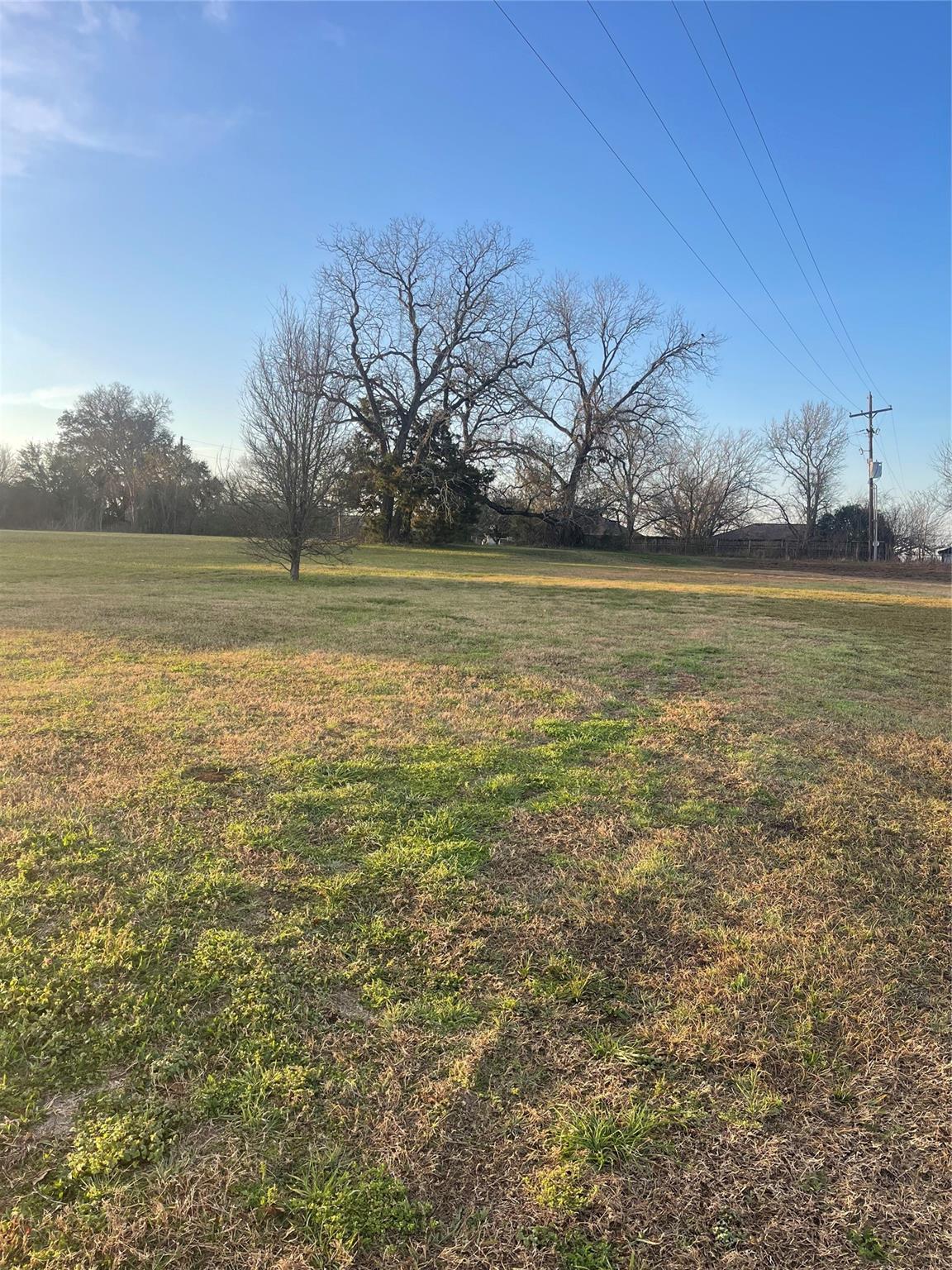 13185 Fm 1097 Road W