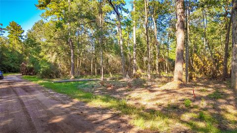Photo of 13 Summer Place, Livingston, TX 77351 (MLS # 58444216)