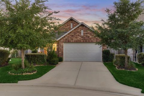 Photo of 324 Tangle Birch Court, Montgomery, TX 77316 (MLS # 85707611)