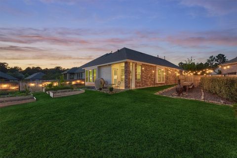 Photo of 324 Tangle Birch Court, Montgomery, TX 77316 (MLS # 85707611)