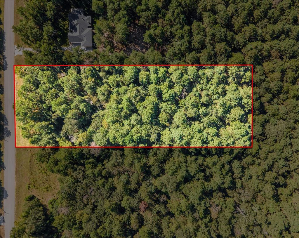 Photo of 185 Rim Rock Road, Huntsville, TX 77340 (MLS # 69908315)