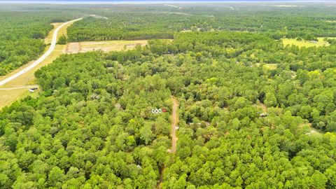 Photo of 0 County Road 201 Loop, Plantersville, TX 77363 (MLS # 25164048)