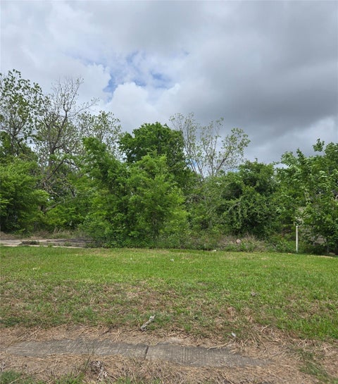 Photo of 5021 Airport Boulevard, Houston, TX 77048 (MLS # 42859198)