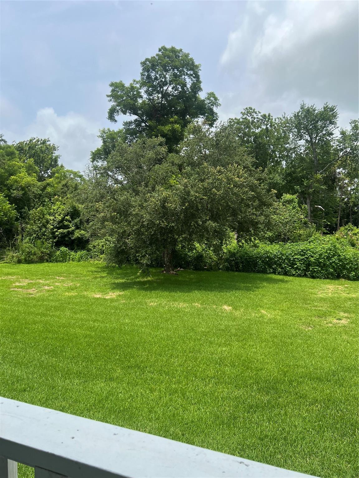 827 Algoa Friendswood Road 4