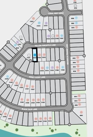 21827 Yellow Pineapple Lane