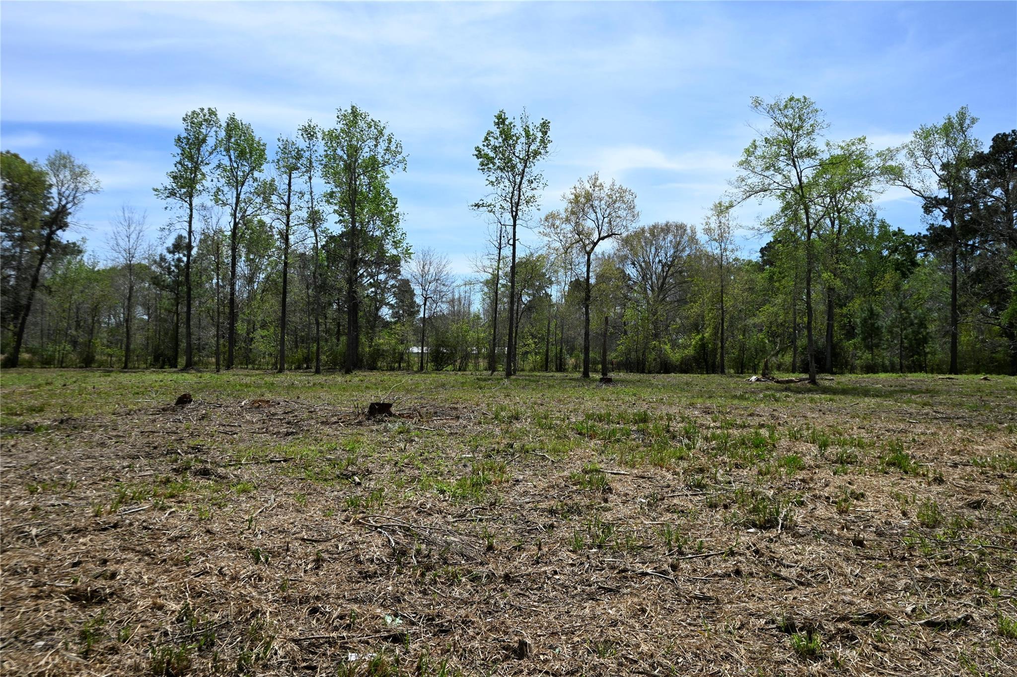 lot 4 County Road 2360