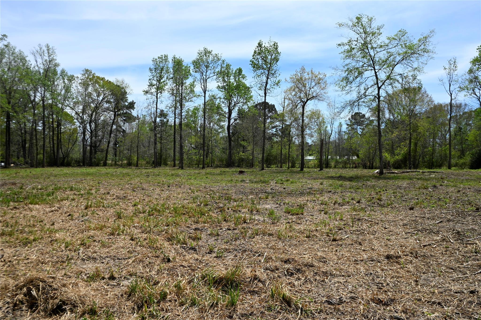 lot 4 County Road 2360