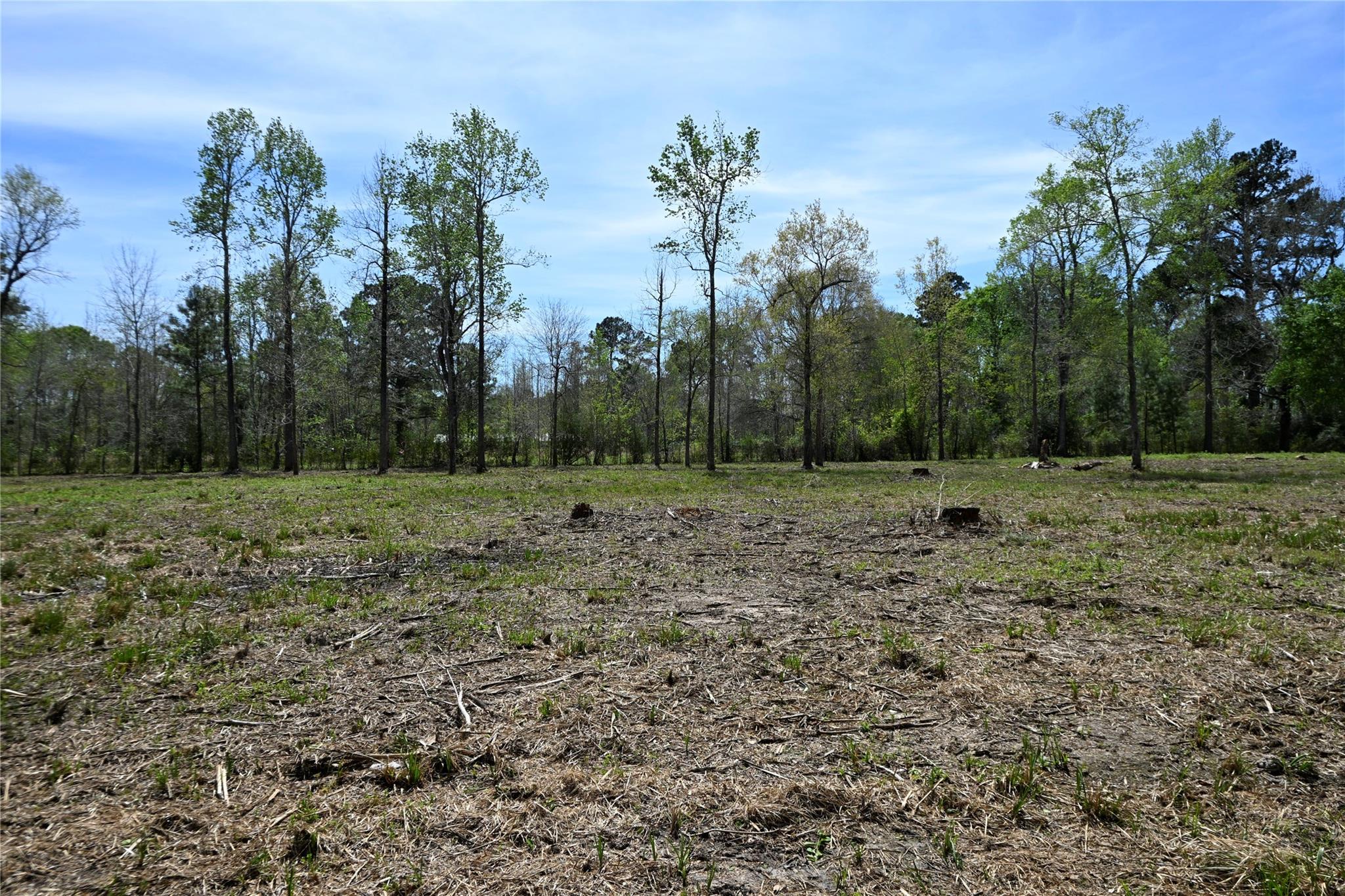 lot 4 County Road 2360