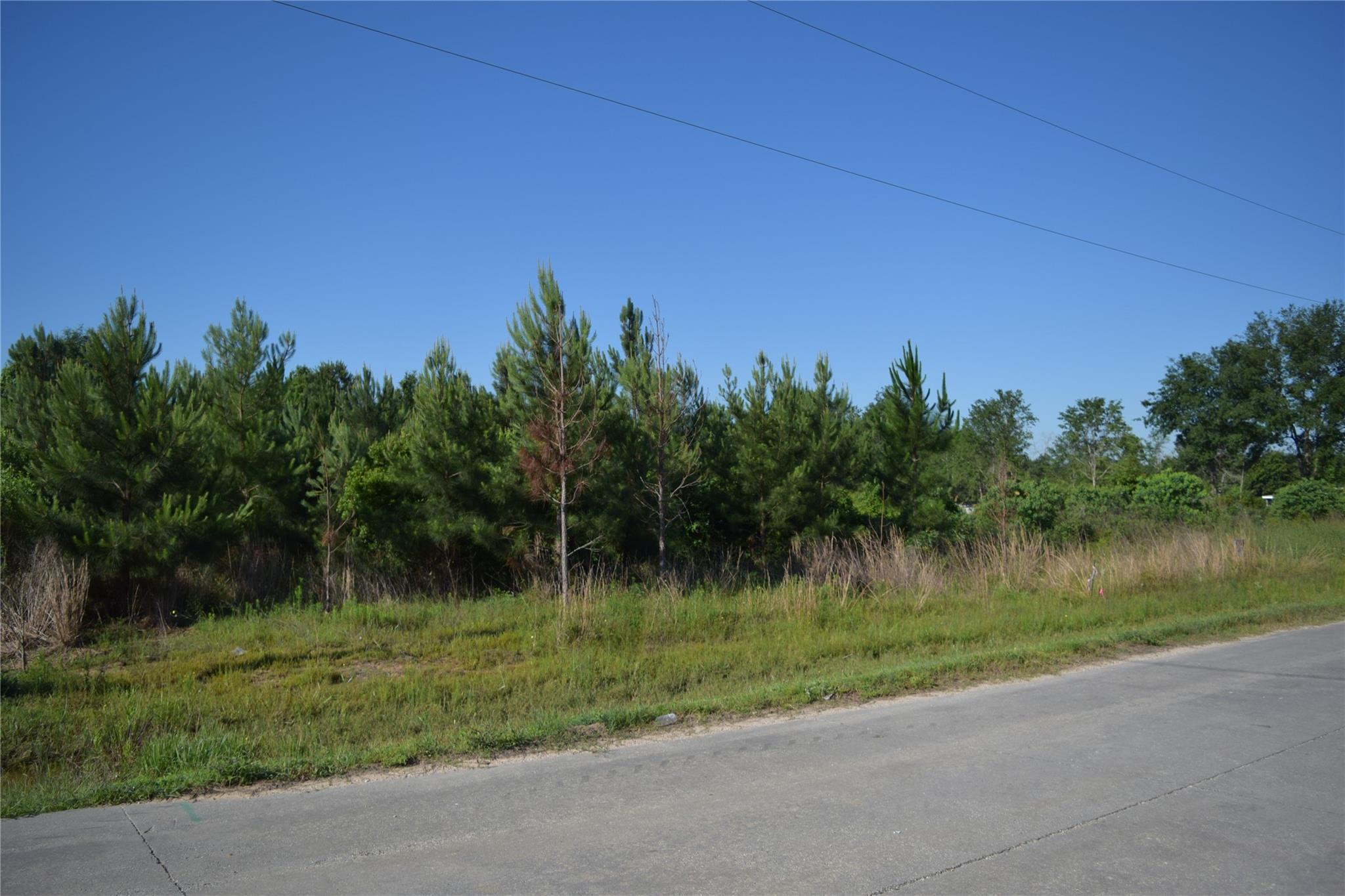 1253 County Road 5015