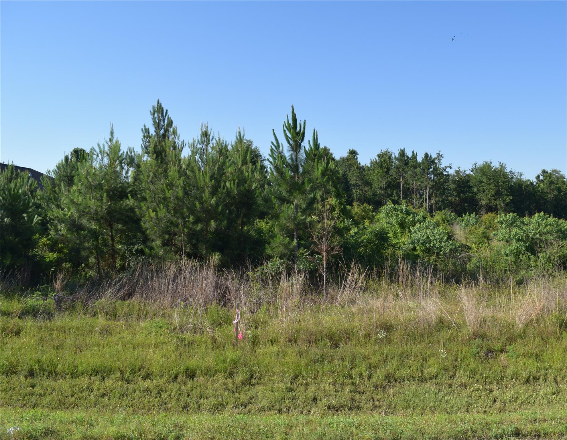 1253 County Road 5015