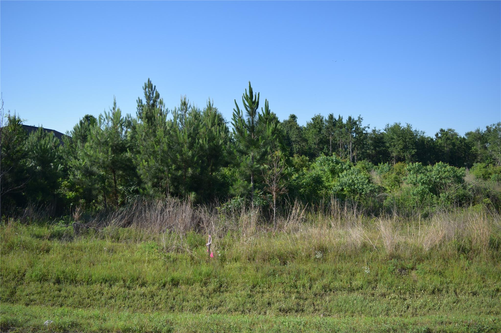 1253 County Road 5015
