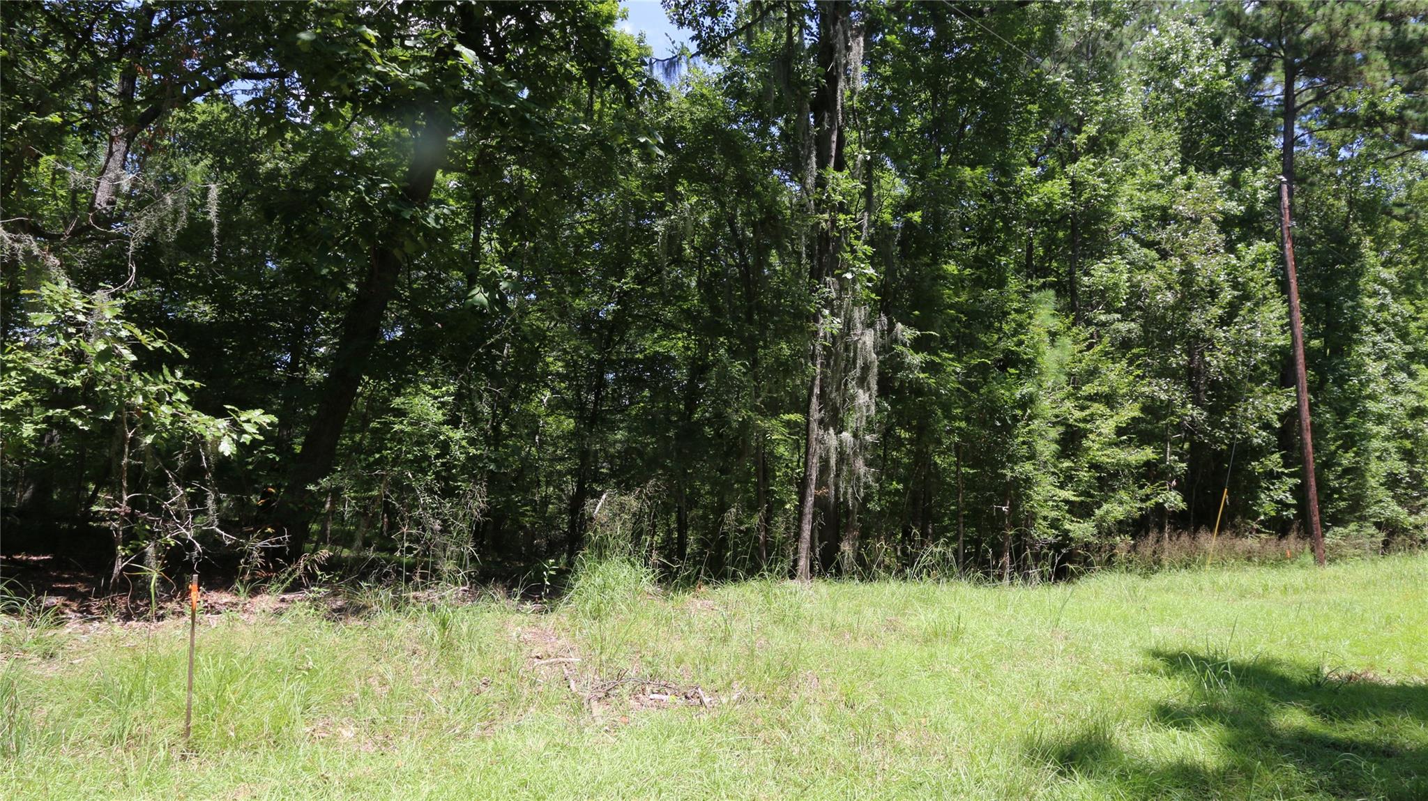 28411 County Road 374