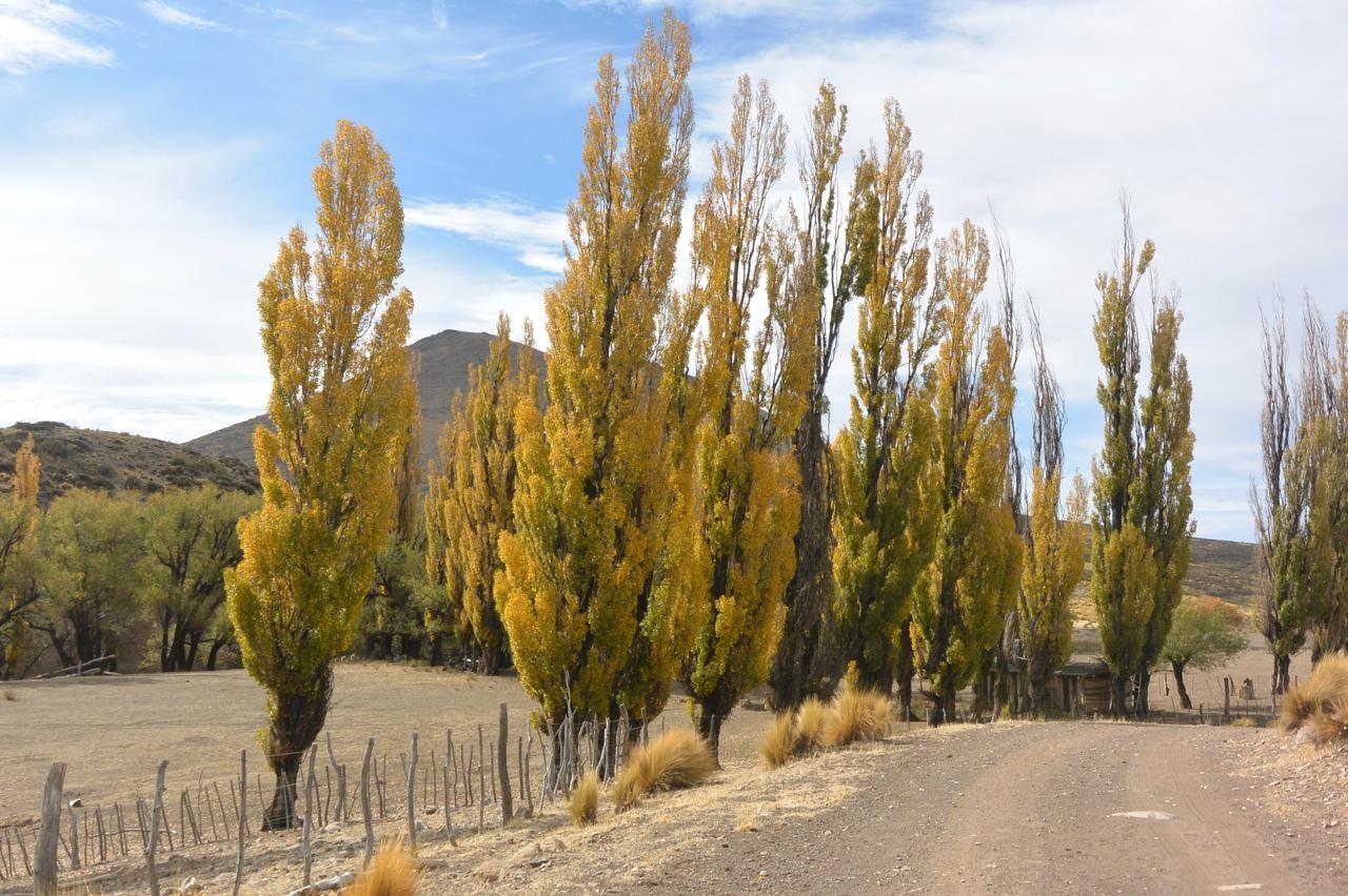 Colipilli, Neuquén Province, Argentina