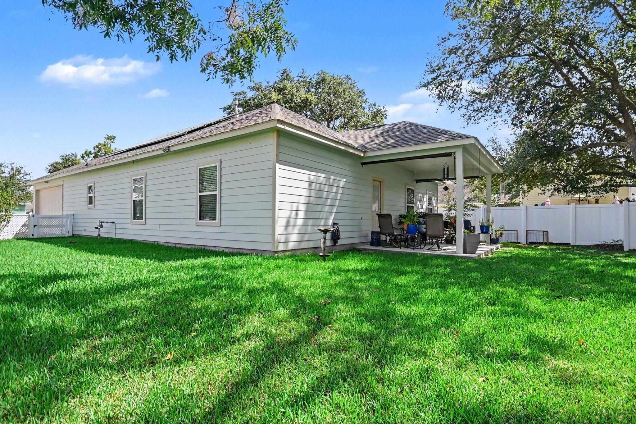 64 Borondo Pines