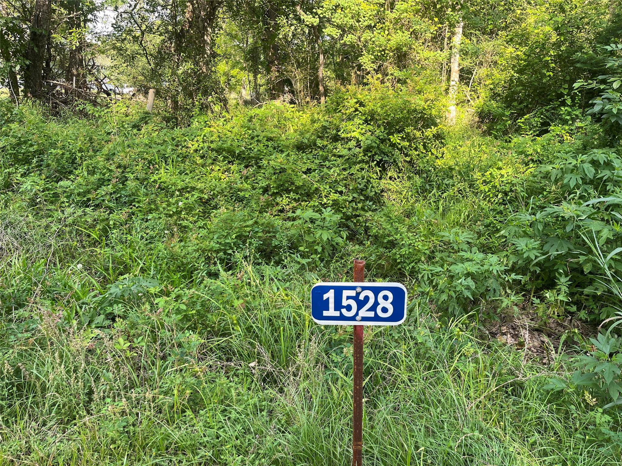 1528 Scroggins Lane