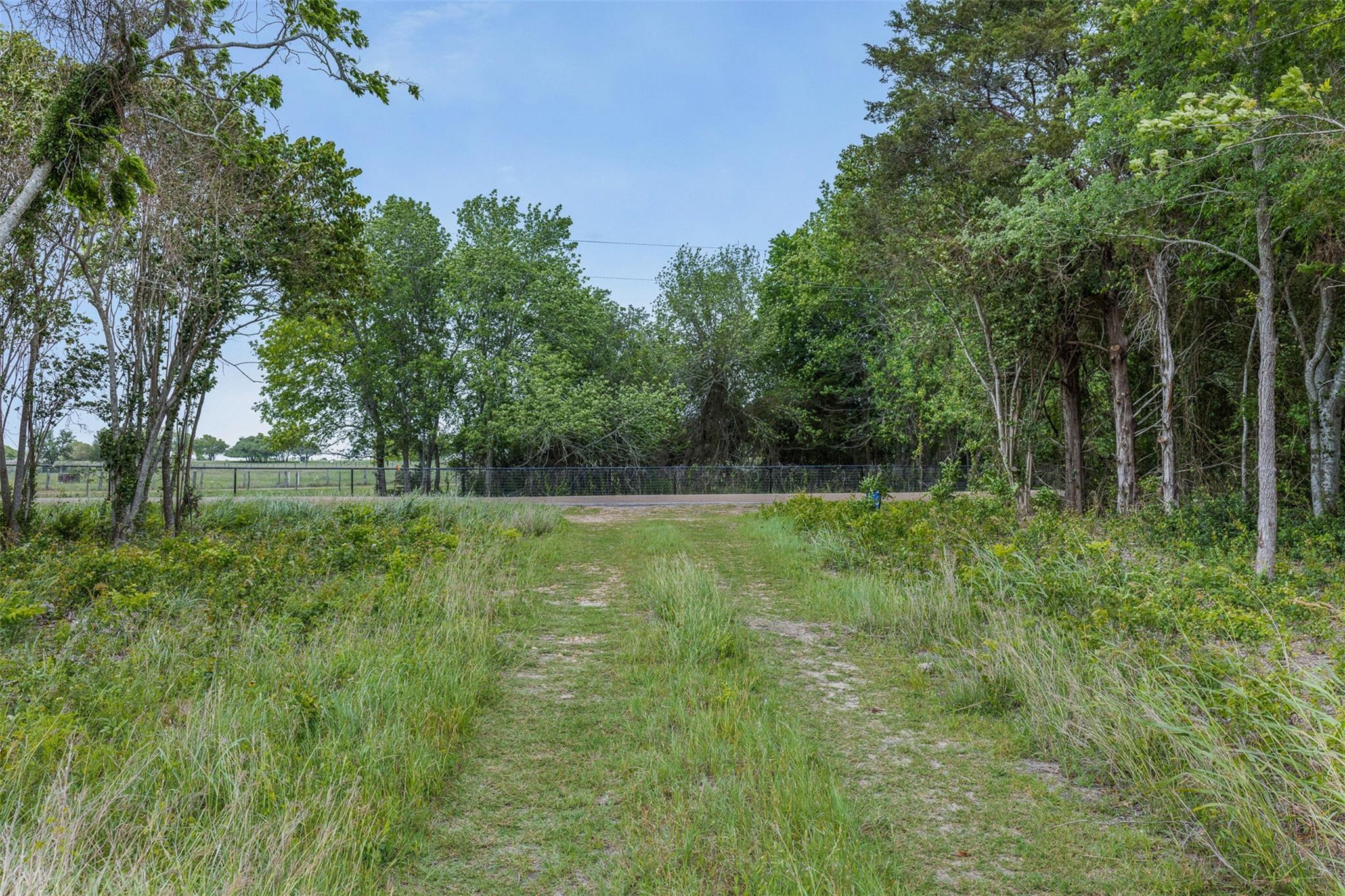 TBD Bauer Rummel Road