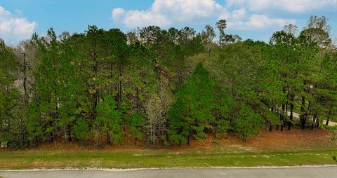 221 Skipper Jack Montgomery TX 77316