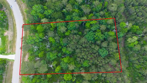 Photo of 186 Exploration Road, New Waverly, TX 77358 (MLS # 96527005)