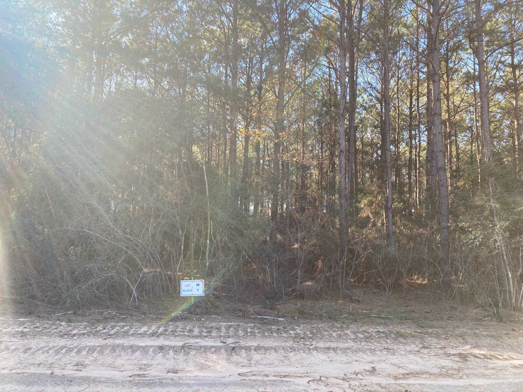 15697 Forest Grove Drive