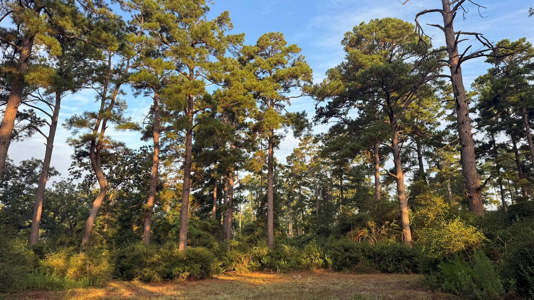 8301 State Highway 7 Highway E