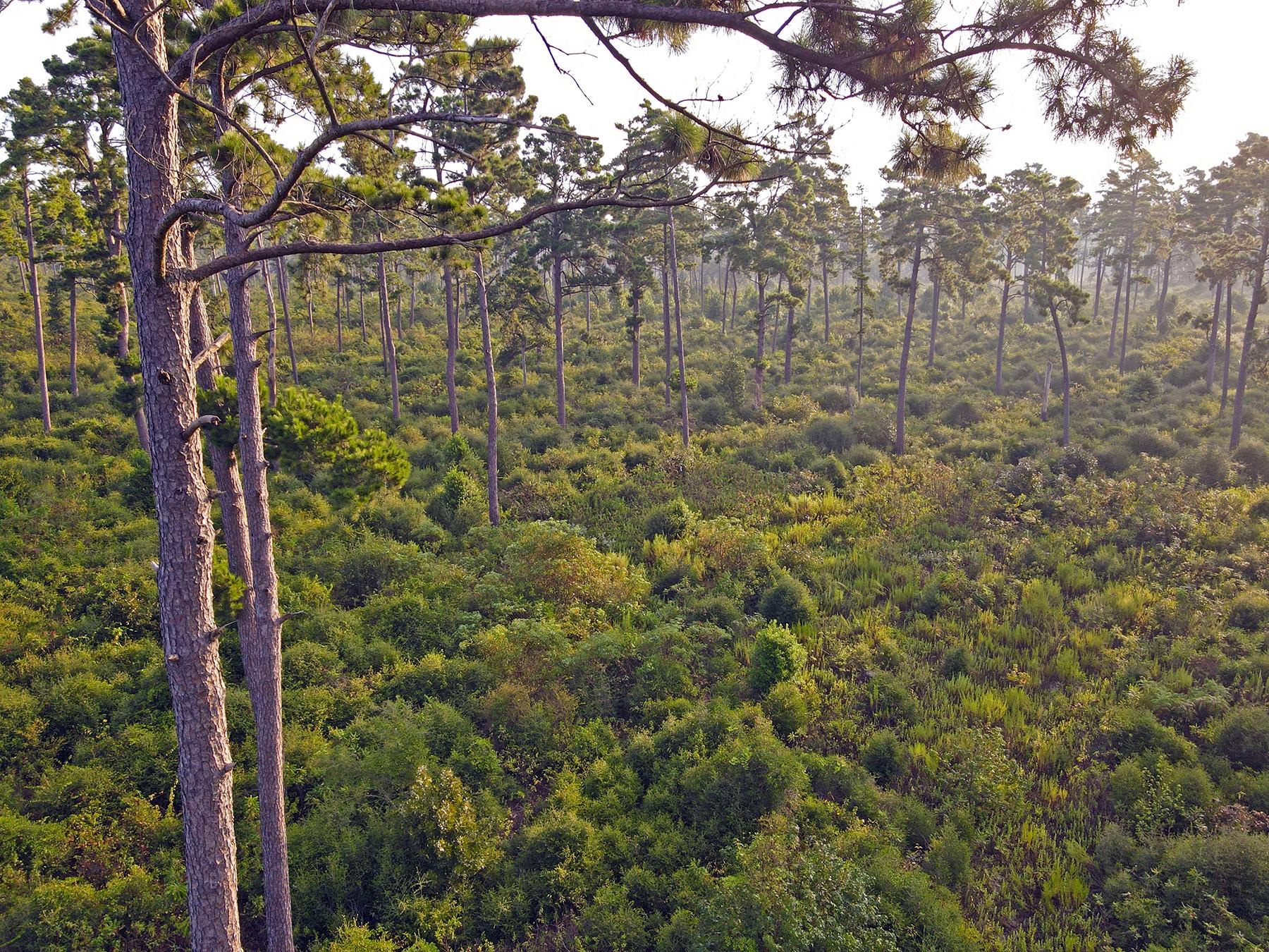 8301 State Highway 7 Highway E