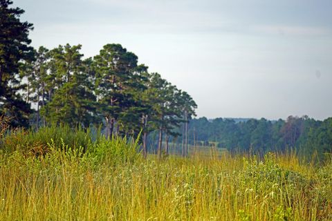 Vacant Land For Sale - 8301 State Highway 7 Highway<br/> Centerville, TX 75833