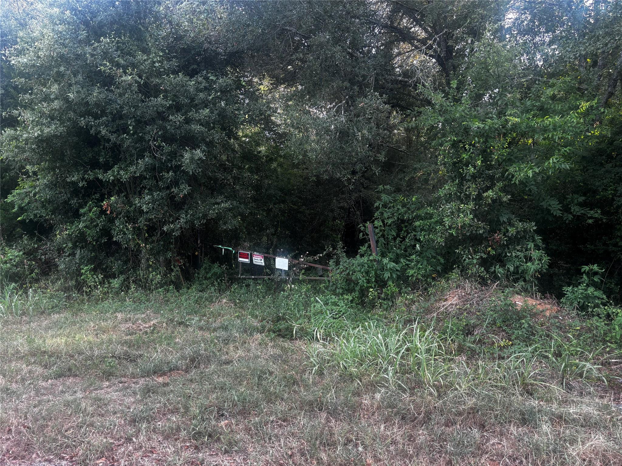 TBD County Road 139