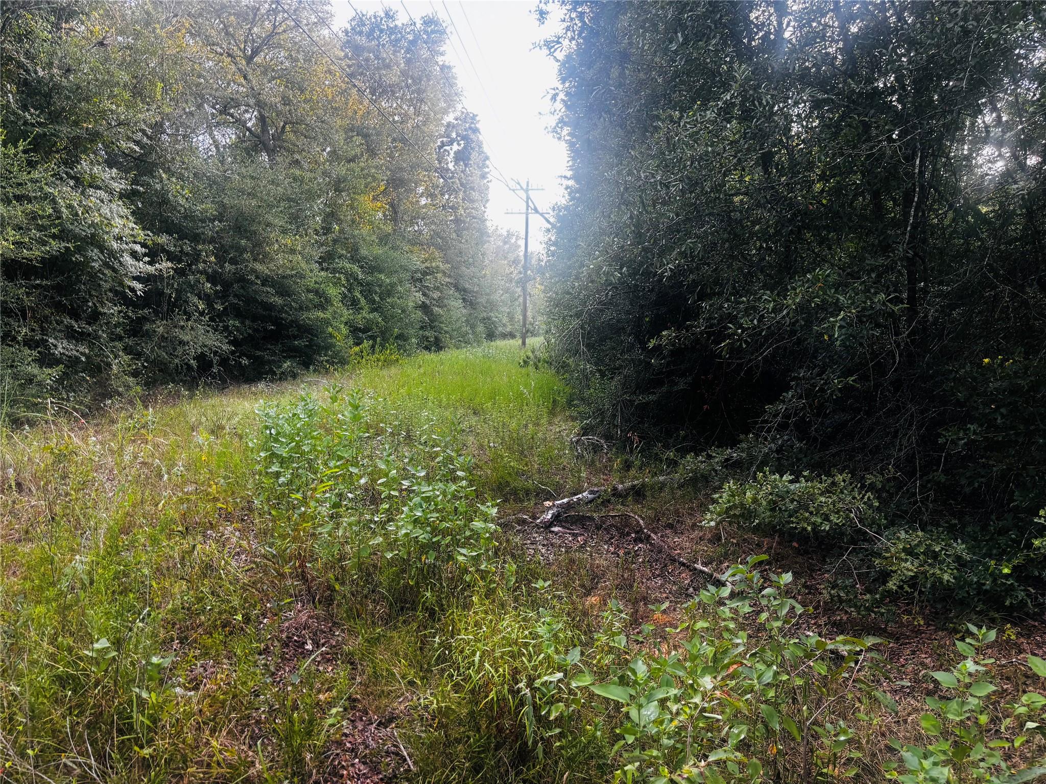 TBD County Road 139