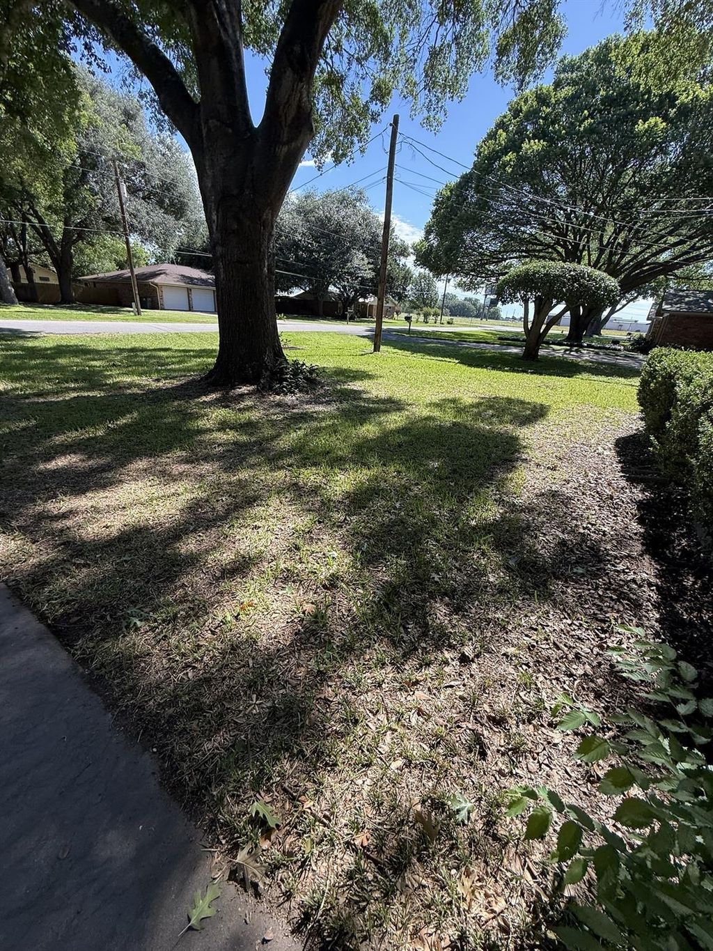 Photo of 1418 7th Street #300, Smithville, TX 78957 (MLS # 90621166)