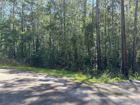 Photo of 11236 Memory Lane, Cleveland, TX 77328 (MLS # 15320668)