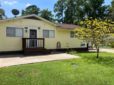 Photo of 521 Plum Tree, Livingston, TX 77351 (MLS # 6076319)