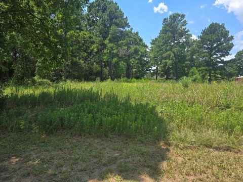 Photo of 0 Ulrich Road Road, Tomball, TX 77375 (MLS # 33723666)