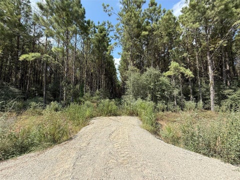 Vacant Land For Sale - 5700 Black Cat Road<br/> Sour Lake, TX 77659