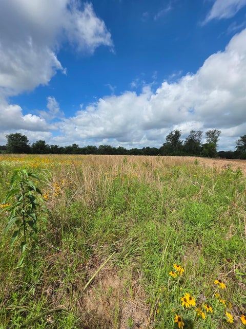 Vacant Land For Sale - TBD LOT 7 County Road 201<br/> Plantersville, TX 77363