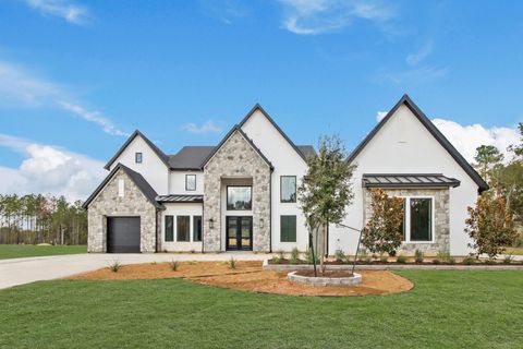 41702 Lays Court Todd Mission TX 77316