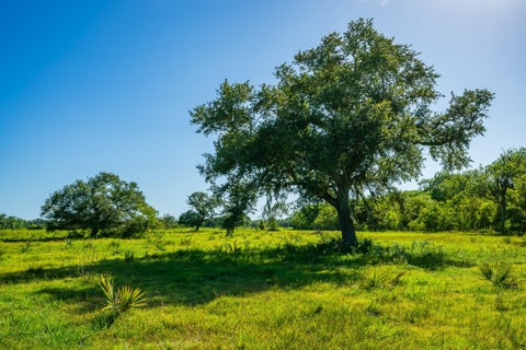 Photo of 700 Cr-700, Brazoria, TX 77422 (MLS # 10692135)