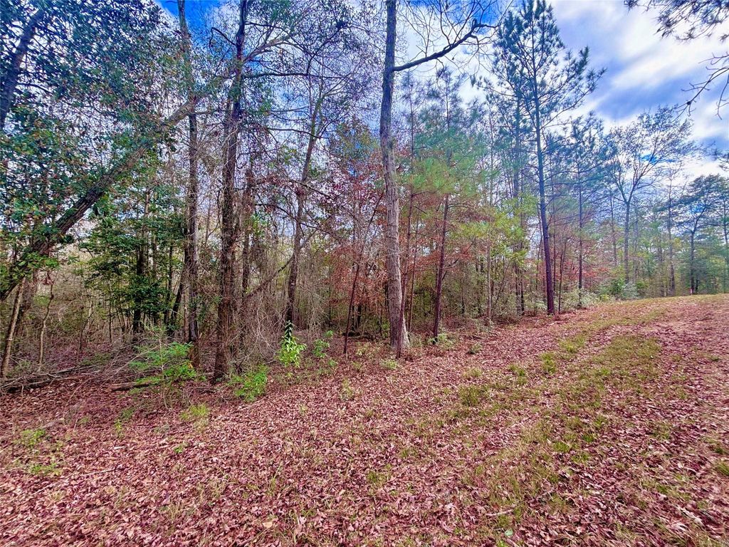 Photo of 0 Fm 1005, Jasper, TX 75951 (MLS # 86276944)